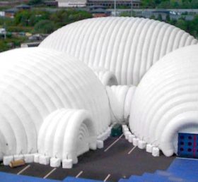 Tent3-001 Надувная палатка в ночном саду