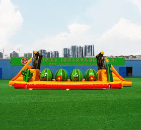 T11-4025 ПРЫГАЮЩИЕ МЯЧИ - КАКТУСЫ