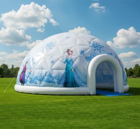 Tent1-4925 Надувной купол Frozen