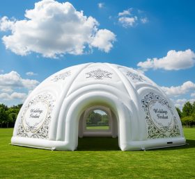 Tent1-4919 Свадебный надувной купол
