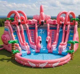 Pool3-469 Водный парк с фламинго