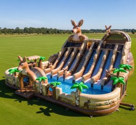 Pool3-480 Водный парк в стиле кенгуру