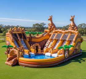 Pool3-481 Водный парк с тематикой кенгуру