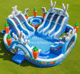 Pool3-627 Водный парк с тематикой Looney Tunes