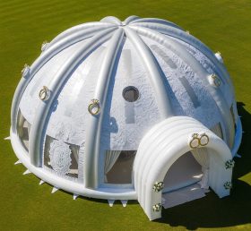 Tent1-4982 Свадебный надувной купол