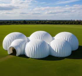 Tent1-6212 Белый купольный кластер надувной купол