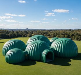 Tent1-6216 огромный зеленый надувной купол