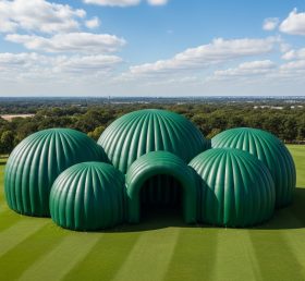 Tent1-6217 Зеленый купольный кластер надувной купол
