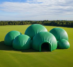 Tent1-6218 Зеленый купольный кластер надувной купол