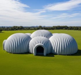 Tent1-6223 Серый купольный кластер надувной купол