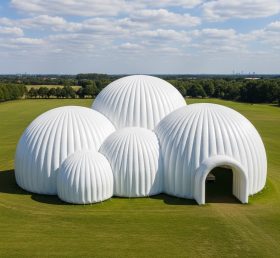 Tent1-6233 Белый купольный кластер надувной купол