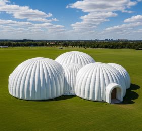Tent1-6236 Геодезический купол Белый надувной купол