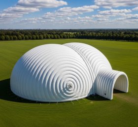 Tent1-6238 двухкупольная надувная палатка