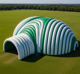 Tent1-6255 Надувной купол в стиле «Зеленая волна»