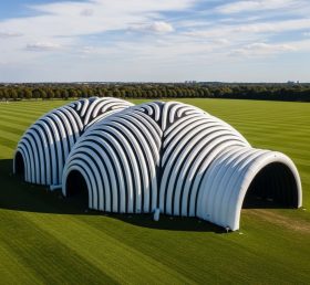 Tent1-6256 Арочный Тоннель Надувной Купол