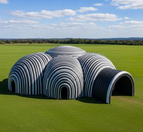 Tent1-6258 черно-белый купольный туннель надувной купол