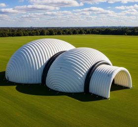 Tent1-6259 Надувной купол в современном стиле