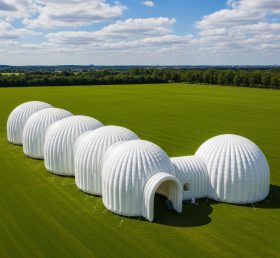 Tent1-6291 Купольный Коридор Надувная Палатка