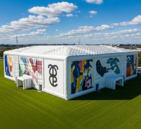 Tent1-6460 Монументальная надувная выставка искусства
