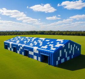 Tent1-6587 Надувной павильон