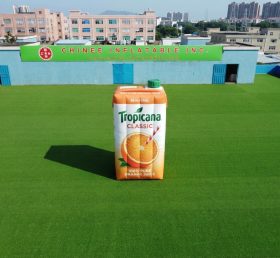 S5-210 надувная модель Tropicana